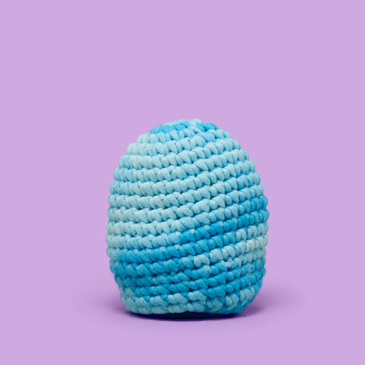 Nova the Blue Jay Crochet Kit