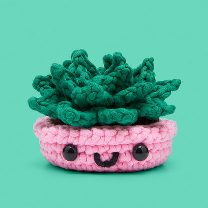 Wooble Where You're Planted Bundle