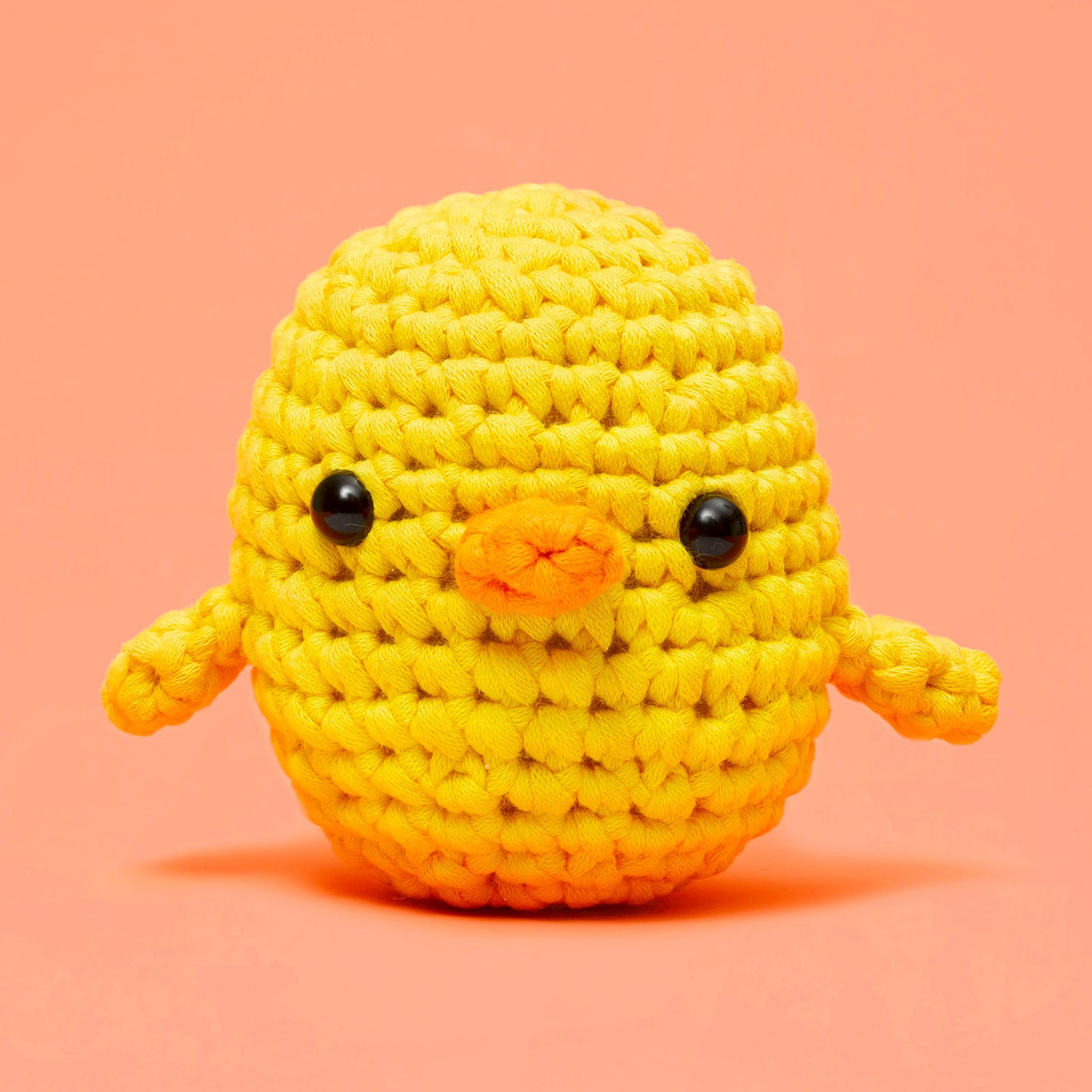 Birds of a Feather Crochet Bundle