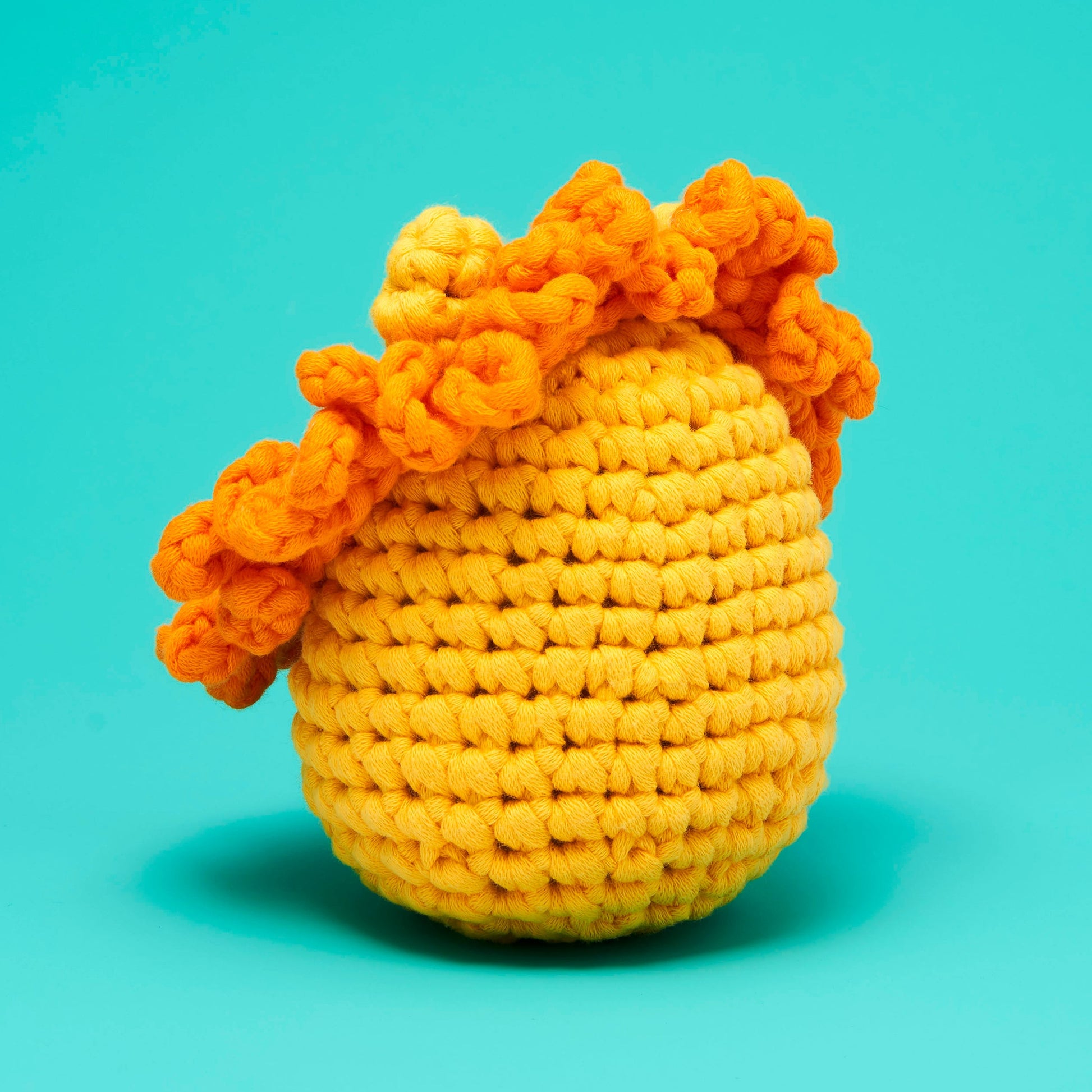 Sebastian the Lion Crochet Kit